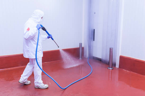 Boat and Dock Cleaning in Marbury, AL